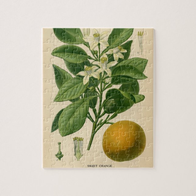 Quebra-cabeça Impressão botânico alaranjado do vintage (Vertical)