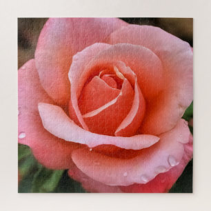 Quebra-cabeça Impressão de Arte Botânica Rosa Romântica