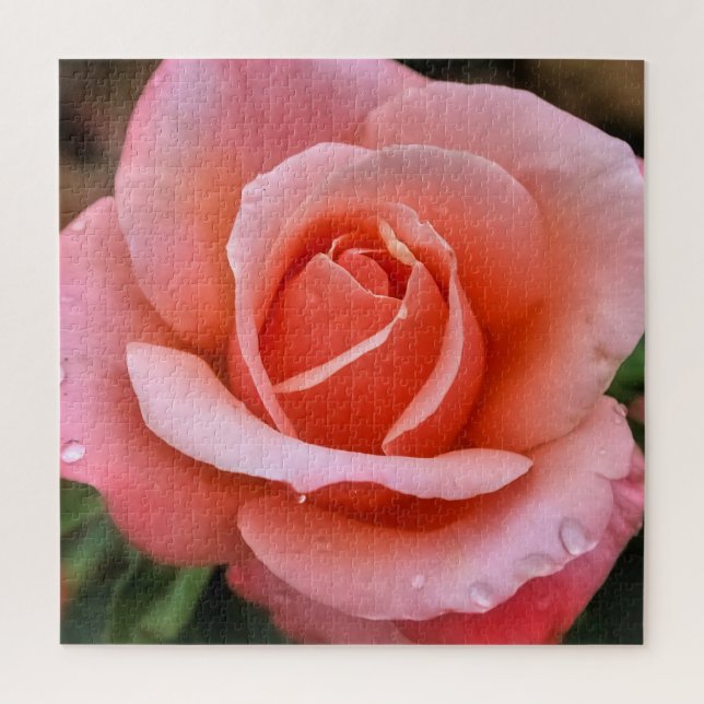 Quebra-cabeça Impressão de Arte Botânica Rosa Romântica (Vertical)