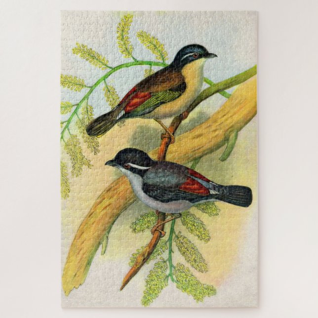 Quebra-cabeça impressão de aves bonito (Vertical)