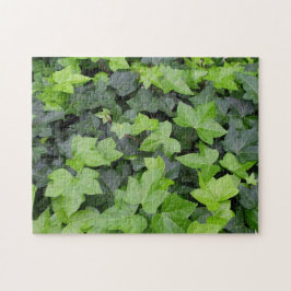Quebra-cabeça Impressão de Botânica de Ivy Verde