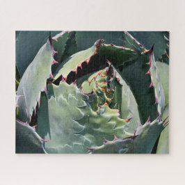 Quebra-cabeça Impressões Agave, Fotografia Detalhada,