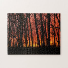 Quebra-cabeça Incêndio Na Floresta Do Céu