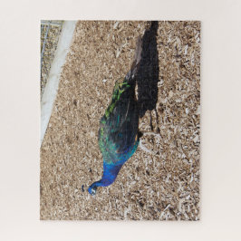 Quebra-cabeça Indian Blue Peafowl jigsaw puzzle