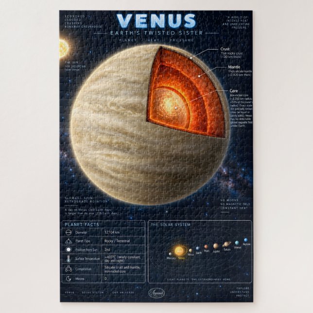Quebra-cabeça Infográfico Científico da Secção Transversal de Vê (Vertical)