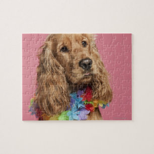 Quebra-cabeça Inglês cocker spaniel (10 meses velho)