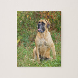 Quebra-cabeça inglês de assento do cão do Mastiff