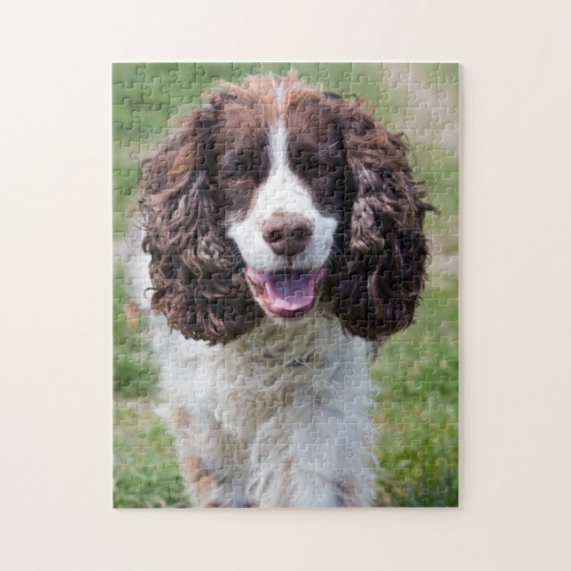 Quebra-cabeça Inglês Springer Spaniel (Vertical)