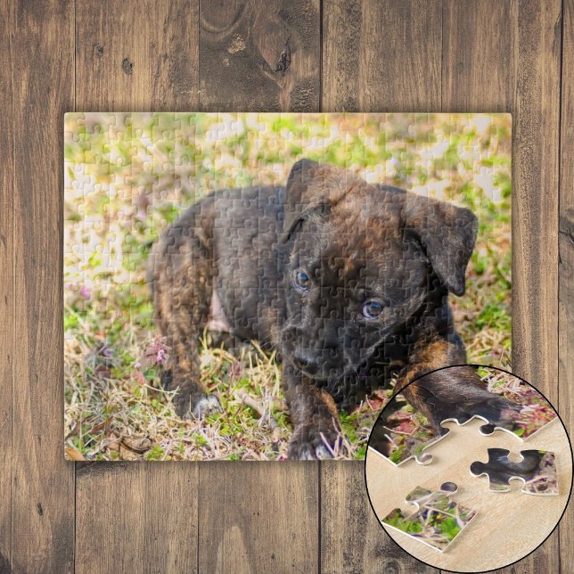 Quebra-cabeça Innocent Brindle Puppy (Innocent Brindle Puppy Jigsaw Puzzle)