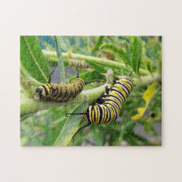Quebra-cabeça Inseto da lagarta da borboleta Monarch