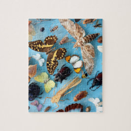 Quebra-cabeça Insetos, borboletas e traças