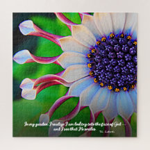 Inspiration Purple Daisy Deus Sorri Floral