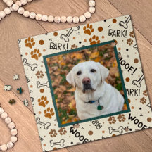 Inspirividade de Pet de Foto de Prato Cachorro