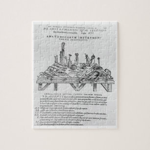 Quebra-cabeça Instrumentos para as dissecções, ilustração 'd