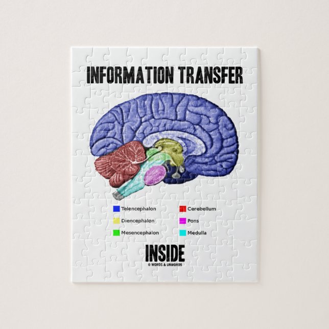 Quebra-cabeça Interior de transferência de informação (anatomia (Vertical)