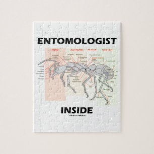 Quebra-cabeça Interior do entomologista (anatomia da formiga do