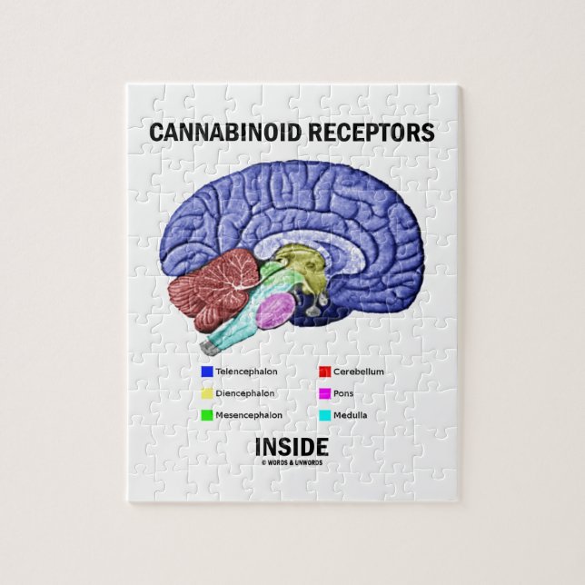 Quebra-cabeça Interior dos receptors de Cannabinoid (anatomia do (Vertical)
