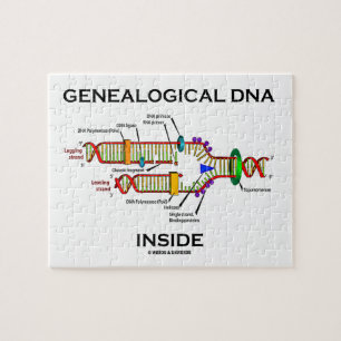 Quebra-cabeça Interior genealógico do ADN (atitude do