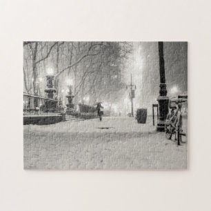 Quebra-cabeça Inverno de New York - noite nevado - parque de