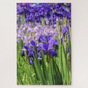 Quebra-cabeça Íris Roxo em Bloom, Jardins do Parque Elizabeth