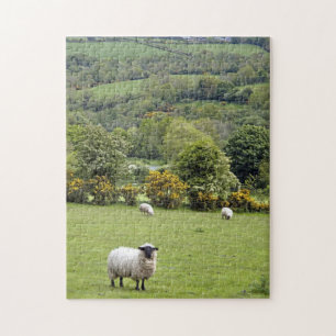 Quebra-cabeça Irlanda Ocidental, Península de Dingle