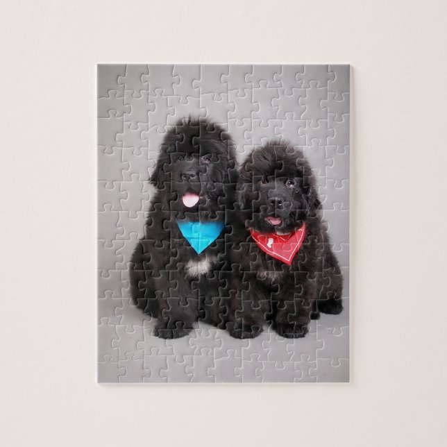 Quebra-cabeça Irmãos Nuwfie (Vertical)