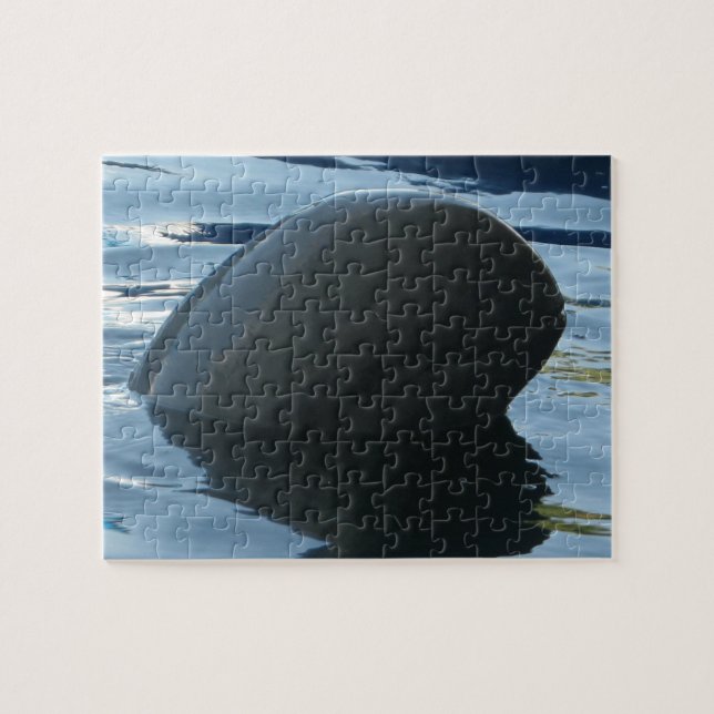 Quebra-cabeça Irrawaddy Dolphin Peek-A-Boo (Horizontal)