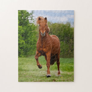 Quebra-cabeça Islandês Pony Executa Tölt Funny Photo Horse Lov