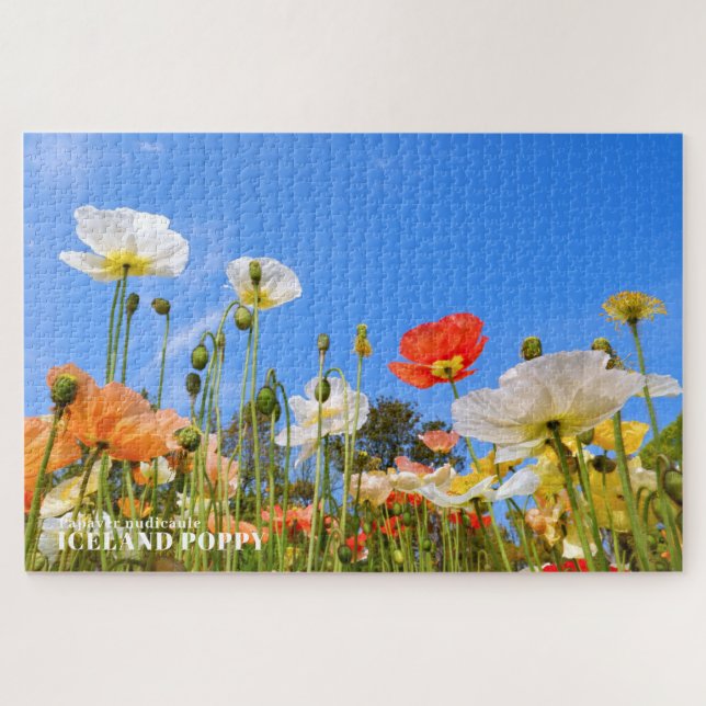 Quebra-cabeça Islândia Poppy (Horizontal)
