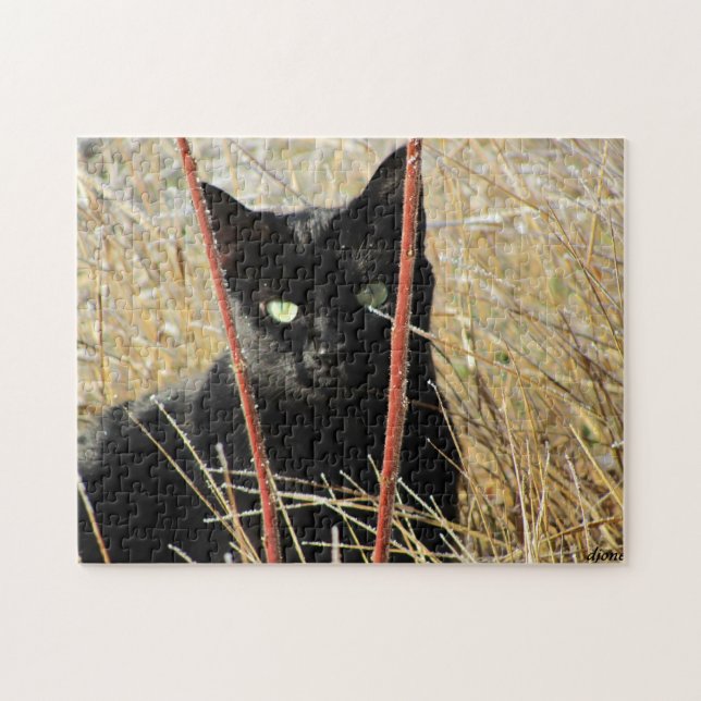 Quebra-cabeça Ive moldado ou adiciona sua própria foto (Horizontal)