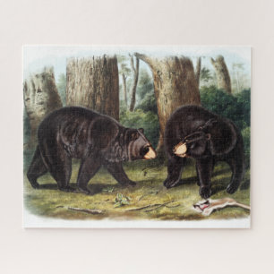 Quebra-cabeça J.W. Audubon - Ursus Americanus Black Bear