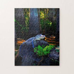 Quebra-cabeça Jacaré Gator Louisiana.