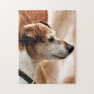 QUEBRA-CABEÇA JACK RUSSELL TERRIER DOG
