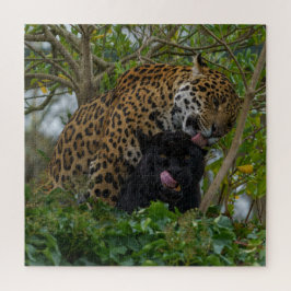Quebra-cabeça Jaguares Apaixonados