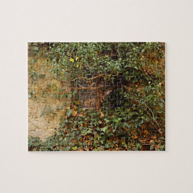 Quebra-cabeça Janela assombrada  (Horizontal)