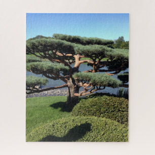 Quebra-cabeça Japonês Landscap Garden Bonsai Tree Nature Quebra-