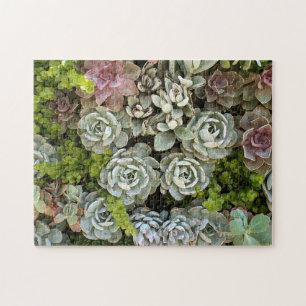 Quebra-cabeça Jardim 1 do Succulent