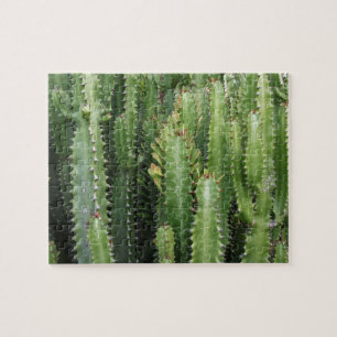 Quebra-cabeça Jardim Cactus