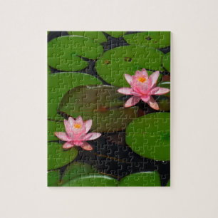Quebra-cabeça Jardim cor-de-rosa do lírio de água dos lótus,