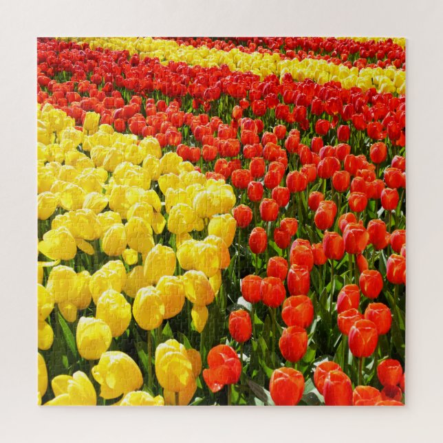 Quebra-cabeça Jardim das Tulipas (Vertical)