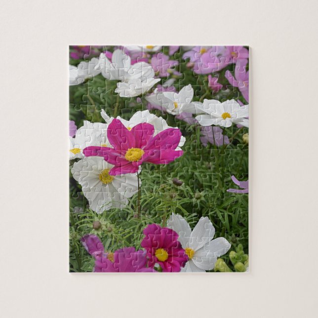 Quebra-cabeça Jardim de flores de cosmos coloridos (Vertical)