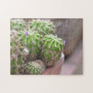 Quebra-cabeça Jardim de Fotografia da Flor Cactus Cactos