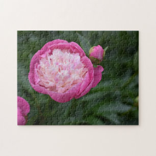 Quebra-cabeça Jardim de Fotografia da Flor de Peony Rosa