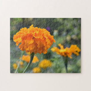 Quebra-cabeça Jardim de Fotografia da Flor Laranja Marigold