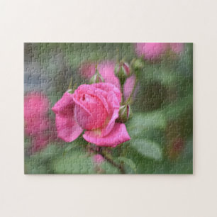 Quebra-cabeça Jardim de Fotografia da Flor Rosa de Verão rosa