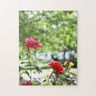 Quebra-cabeça Jardim de Fotografia da Flor Rosa vermelha