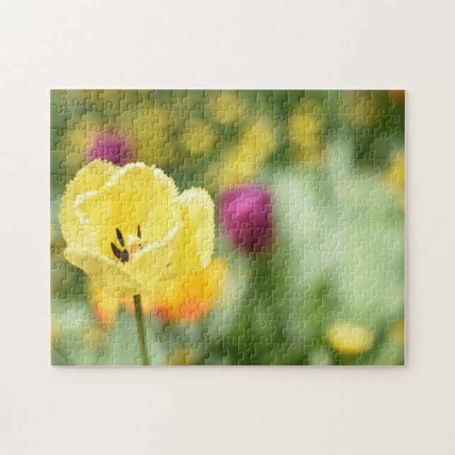 Quebra-cabeça Jardim de Fotografia do Yellow Tulip Flowers (Horizontal)