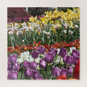 Quebra-cabeça Jardim de Tulip Primavera Colorida, Elizabeth Park