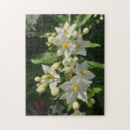 Quebra-cabeça Jardim Estrela Cadente em Flor