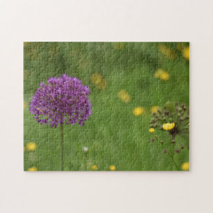 Quebra-cabeça Jardim Fotográfico Puro Allium